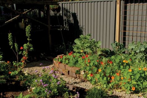 Garden Oasis, Chelsea Flower, Chelsea Flower Show, Homes And Gardens, Be Beautiful, Flower Show, Growing Vegetables, Better Homes And Gardens, Better Homes