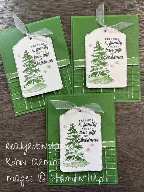 Christmas Tree Stampin Up Cards, Su Peaceful Evergreen, Stampin Up Peaceful Season Bundle, Stampin Up Evergreen, Peaceful Pines Stampin Up Cards, Christmas Cards With Trees Handmade, Stampin Up Christmas Tree Cards, Greetings Of The Season Stampin Up Cards, Stampin Up Season Of Elegance Dsp