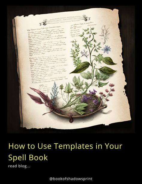 Streamline your magical writings with spell book templates! 📜✒️ Whether you're a novice witch or an adept magician, this guide shows you how to use templates to organize your spells, rituals, and incantations. Learn the benefits of structured layouts and how they can enhance your magical record-keeping. Bring clarity and focus to your craft today and let your spell book be a reflection of your magical expertise. #SpellBook #Witchcraft #MagicalTemplates #BookOfShadows #OrganizedMagic Grimoire Illustration, Grimoire Art, Herbal Grimoire, Grimoire Ideas, Herb Art, Types Of Magic, Guided Art, Herbal Magic, Altar Cloth