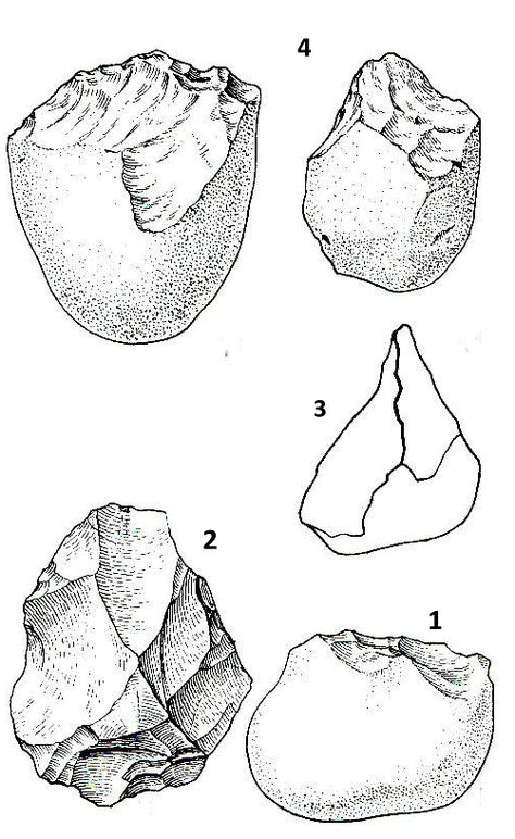 Lower Paleolithic stone utensils. Oldowan: 1 A chopper from the Vallonet cave; 2 Sterkfontein utensil; 3 chopping-tool Mode 2 Oldowan; 4 chopping tool, Mode 1 Oldowan. (From: Bordes, F., Le Paléolithique dans le monde, 1968) Stone Utensils, Artifact Hunting, Ancient Artifacts Prehistoric, Paleolithic Art, Stone Age Tools, Native American Tools, Arrowheads Artifacts, Arrow Heads, Stone Tools