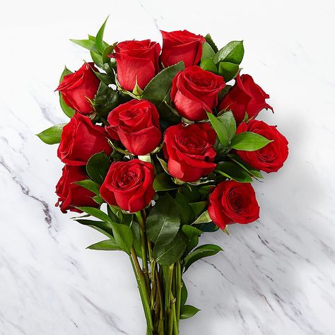 Dozen Red Roses, Love Rose Flower, Rose Flower Pictures, Flower Delivery Service, Red Rose Bouquet, Beautiful Red Roses, Valentines Flowers, Beautiful Rose Flowers, Flowers Online