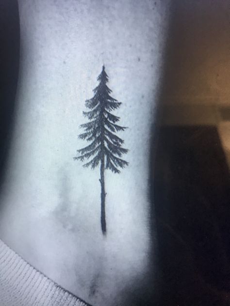 Woods Tattoo, Trees Tattoo, Red Woods, Wood Tattoo, Wood Trees, Redwood Tree, Cedar Trees, Badass Tattoos, Red Wood