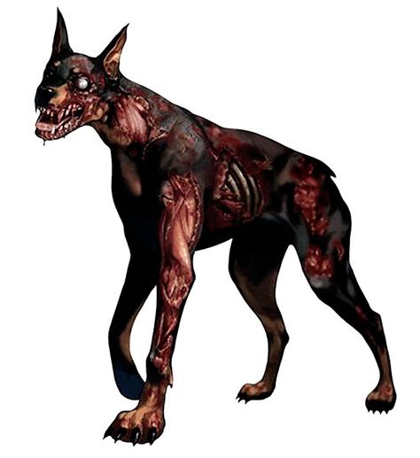 Zombie Dog, Resident Evil, Zombie, White