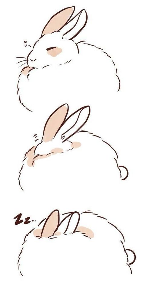 HOW DO YOU DO THAT?!?!? Sleepy Bunny, Bunny Drawing, Rabbit Art, Bunny Art, 캐릭터 드로잉, Kawaii Shop, Art And Illustration, Cute Animal Drawings, Cute Doodles