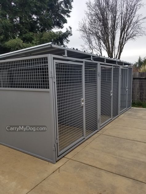 3 Dog Kennel Ideas Outdoor, Building Dog Kennel Outdoor, Pvc Dog Kennel, Dog Cages Outdoor, Diy Outdoor Kennels For Dogs, Shed To Dog Kennel, Dog Kennel With Run, Outdoor Kennel Ideas, Garage Kennel For Dogs