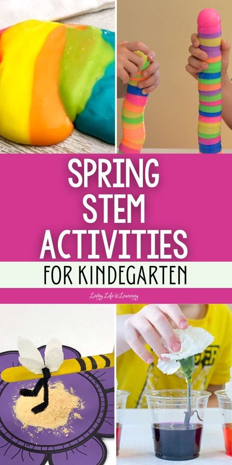 From creating rainbows to stacking Easter eggs with your children, these   fun spring STEM activities for kindergarten are a helpful way to teach   STEM to your young learners while having a blast! Stem Activities For Kindergarten, Spring Math Activities Kindergarten, Kindergarten Stem Activities, Easy Stem Activities, Kindergarten Science Curriculum, Spring Stem Activities, Activities For Spring, Spring Stem, Stem Activities Kindergarten