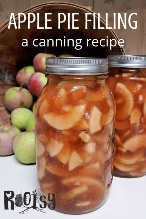 Can Apple Pie Filling, Canning Apple Pie Filling, Pour Cake, Water Bath Canning Recipes, Canning Apples, Homemaking Skills, Apple Pie Filling Recipes, Preserving Recipes, Pie Fillings