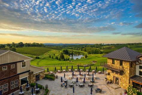 This Underrated Virginia Destination Has Delicious Wine, Outdoor Adventures, and Spectacular Scenery Virginia Wineries, Family Vacation Destinations, Perfect Family, Wine Region, Blue Ridge Mountains, Gorgeous View, Trip Ideas, Wine Country, Vacation Destinations