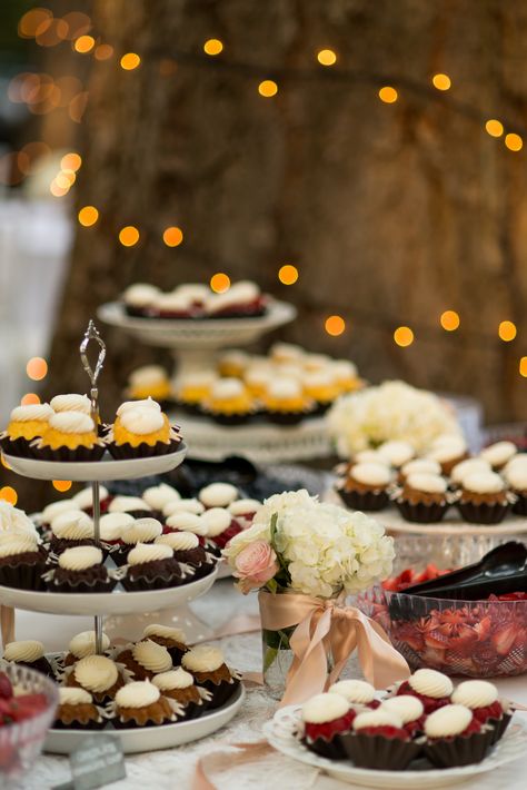 Bundtinis Display, Wedding Bundtinis, Nothing Bundt Cake For Wedding, Mini Bundt Cakes Wedding, Mini Cheesecake Dessert Table, Bundtini Wedding Display, Nothing Bundt Cake Display, Mini Cheesecakes Wedding Display, Nothing Bundt Cake Wedding