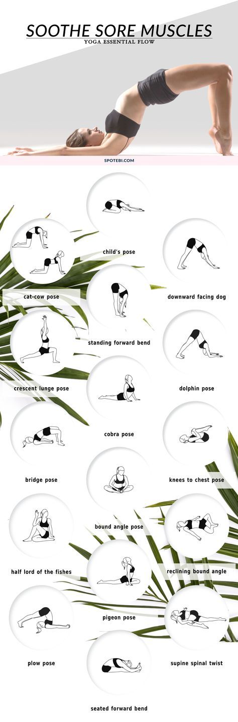 Having sore muscles after an intense workout is very common, especially for beginners who are just starting out. This gentle and invigorating yoga sequence will help you ease post-workout muscle soreness and increase your mobility and flexibility for future workouts. http://www.spotebi.com/yoga-sequences/soothe-sore-muscles-flow/ Strengthening Yoga, Knee Strength, Yoga Ashtanga, Muscle Abdominal, Yoga Beginners, Yoga Essentials, Sup Yoga, Beginner Yoga, Yoga Posen