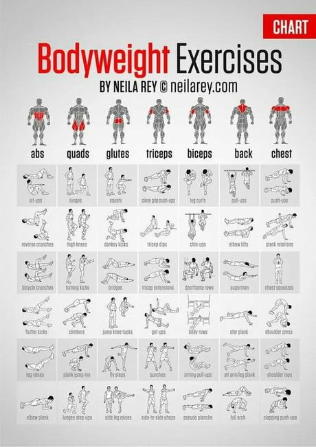 Any tips about those exercises? - 9GAG Bolesti Chrbta, Core Strengthening Exercises, Muscle Abdominal, Ab Routine, Bodyweight Exercises, Fitness Routines, Strengthen Core, Trening Fitness, Exercise Routines