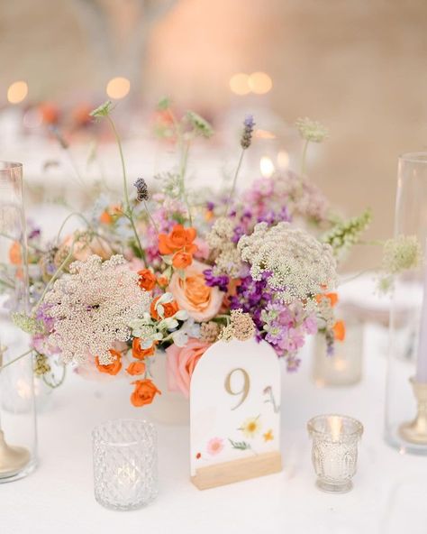 Floral Dreams by Vero Romo (@floral.dreams.by.vero.romo) • Instagram photos and videos Vibrant Spring Wedding, Palm Wedding, Colorful Minimalist, Lavender Orange, Wedding Sand, Cabo Weddings, Wedding 2025, Luxury Wedding Planner, Wildflower Wedding