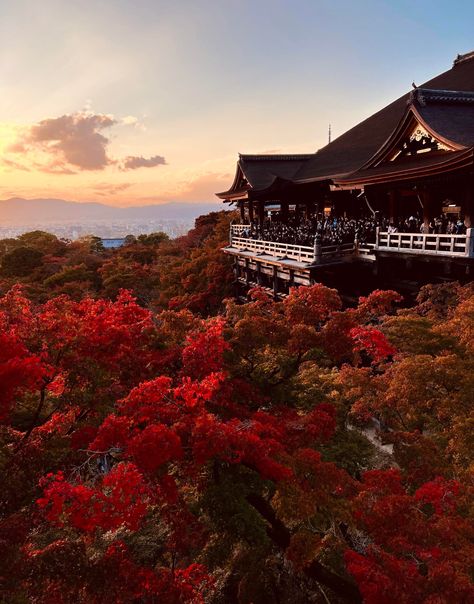 Beautiful Kyoto fall colors by nastikplastik The post Beautiful Kyoto fall colors appeared first on Alo Japan. Kyoto Astethic, Autumn In Kyoto, Japan Autumn Aesthetic, Kyoto Aesthetic, Fall In Japan, Fall Japan, Japan Place, Kyoto Autumn, Japan Scenery