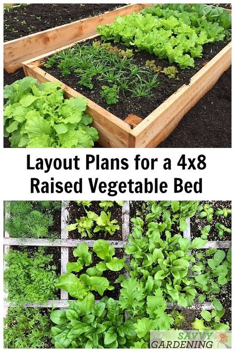 Not sure how many plants you can fit in a standard raised vegetable bed? These layout plans show you how to properly space plants for a great harvest. #vegetablegardening #gardening Raised Bed Vegetable Garden Layout, Planting Layout, Raised Garden Beds Diy Vegetables, Garden Bed Layout, Vegetable Beds Raised, Raised Vegetable Gardens, Vegetable Garden Raised Beds, Garden Layout Vegetable, Small Vegetable Gardens