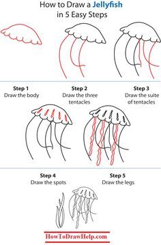 How to draw a jellyfish | Step by step Drawing tutorials | art ... Draw A Jellyfish, Jellyfish Light, Hair Stenciling, Jellyfish Painting, Jellyfish Drawing, Drawing Room Interior Design, Jellyfish Print, Jellyfish Design, Drawing Step By Step