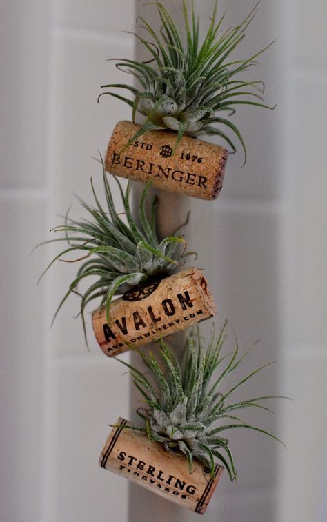 Here's a clever way to upcycle those wine corks!  I’ve been totally infatuated with air plants lately.  I mean, what’s not to love about something that needs vi… Air Plants Diy, Cork Magnet, Cork Planters, Air Plants Decor, Wine Cork Diy Crafts, Wine Cork Projects, Wine Cork Diy, Plant Crafts, Air Plant Display