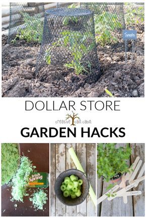 Aesthetic Gardening, Diy Container Gardening, Gardening Aesthetic, Garden Hacks, Strawberry Garden, Gardening Hacks, Garden Wallpaper, Gardening Outfit, The Secret Garden