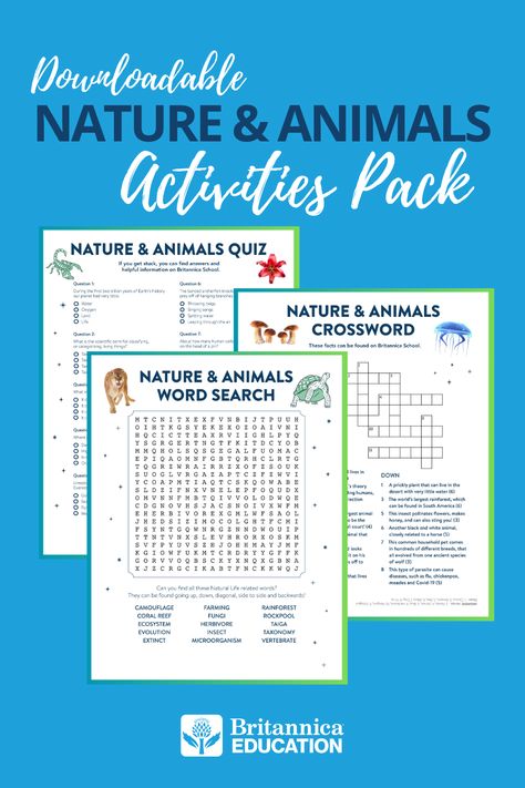 Discover what you know… and what you don’t! Get ready for an exciting brain workout with our Nature & Animals Activity Pack. Perfect for curious minds aged 8+, this pack is your ticket to an adventure-filled afternoon. #downloadables #printables #worksheets #teachertools #summeractivities #teaching #classroomactivities #classroom Brain Workout, Teaching Weather, Animal Quiz, Summer Learning, Animal Activities, Forest School, Student Organization, Cub Scouts, Activity Pack