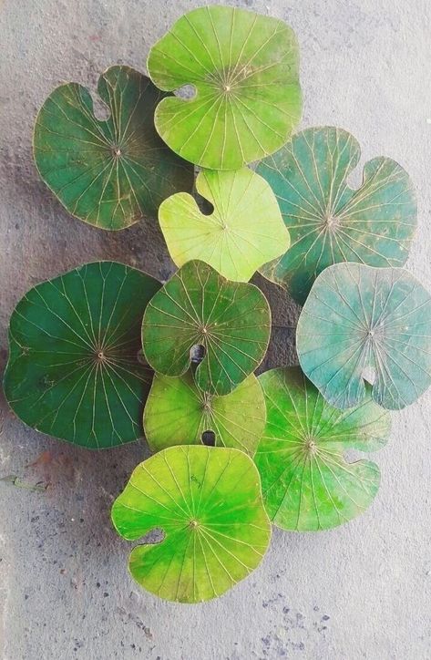 3 D Art, Lotus Leaves, Stained Glass Crafts, Wild Heart, Metal Structure, Water Lilies, Glass Crafts, Botanical Art, Natural Dyes