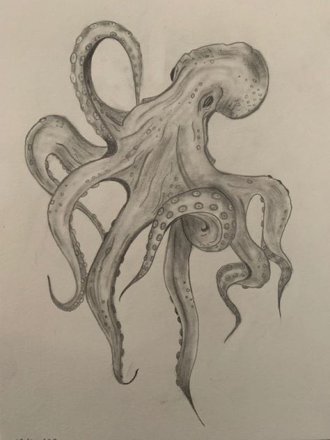 Drawings Of Octopus, Aquatic Life Drawing, Sea Animals Sketch, Octopus Drawing Sketches, Octopus Drawings, Underwater Sketch, Ocean Sketch, Octopus Simple Drawing, Ocean Sketches