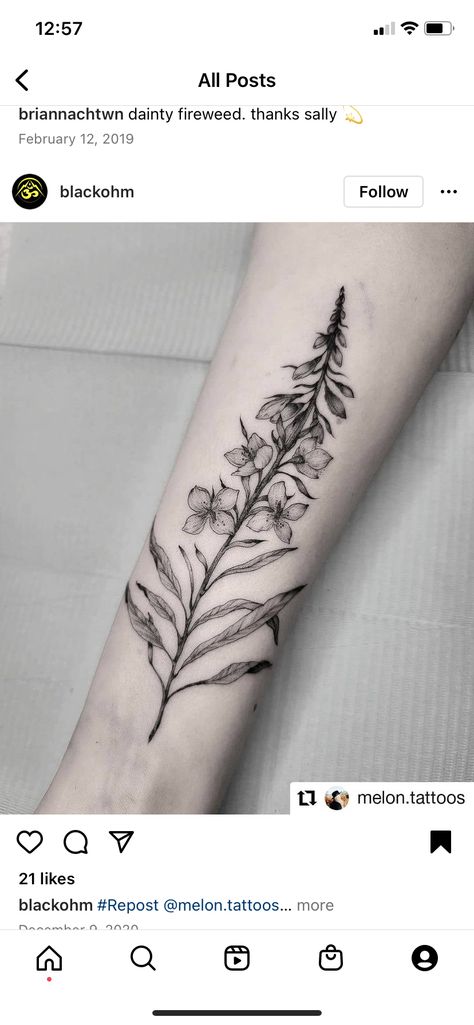 Fireweed Tattoo Black, Fireweed Flower Tattoo, Alaska Fireweed Tattoo, Alaskan Fireweed Tattoo, Alaska Flower Tattoo, Alaska Tattoos For Women, Fireweed Drawing, Alaska Tattoo Ideas, Fireweed Tattoo