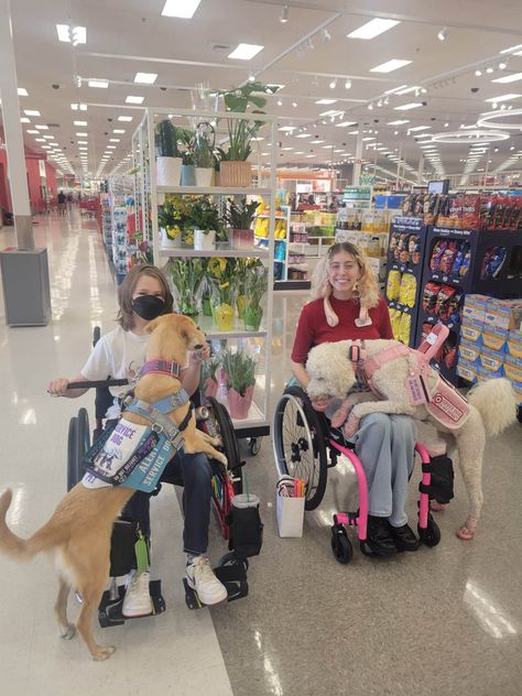 Two service dogs, lying on their handlers wheelchairs Service Dog At School, Service Dog Videos, Cute Wheelchair, Service Dog Aesthetic, Dog Vest Diy, Happy Best Friends Day, Happy Best Friends, Hospital Core, Pup Cups