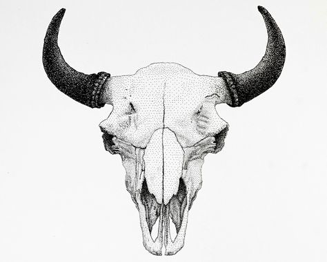 Bison skull Hobo Room, Bison Tattoo, Buffalo Tattoo, Bull Skull Tattoos, Bull Tattoo, Animal Skeleton, Bison Art, Bison Skull, Native Tattoos