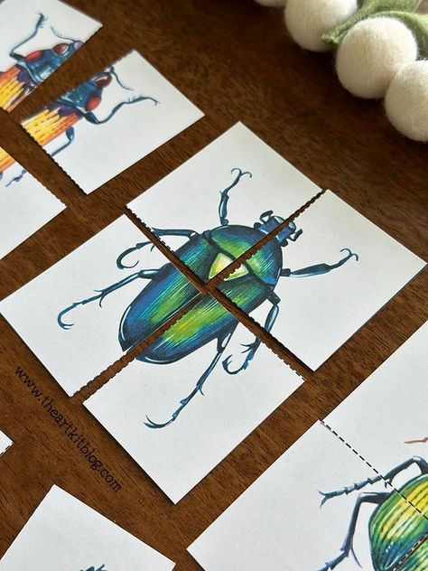 Beetle Crafts For Kids, Free Bug Printables, Beetle Activities For Preschool, Beetle Crafts Preschool, Beetle Craft, Natural Classroom, Nature Preschool, Heart Group, Pre-k Science