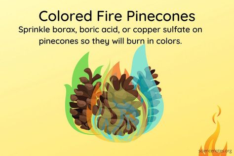 How to Make Colored Fire Pinecones Campfire Ideas, Colored Flames, Learn Chemistry, Colored Fire, Pinecone Fire Starters, Fire Starters Diy, Borax Powder, Colors Of Fire, Halloween Science