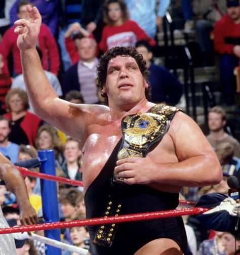 André The Giant, Jesse Ventura, Hbo Documentaries, Eddie Guerrero, Professional Wrestlers, Andre The Giant, Wrestling Stars, Wwe Legends, Wrestling Superstars