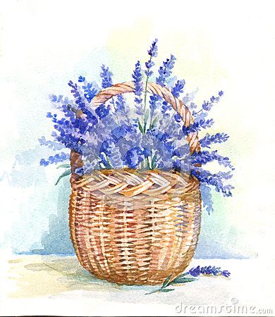 Painting Baskets, Lavender Basket, Basket Drawing, Painted Baskets, Spring Basket, Watercolor Monogram, Garden Illustration, Watercolor Bouquet, Watercolor Christmas Cards