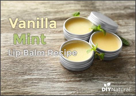 Mint Lip Balm: A Simple Yet Great Vanilla Mint Lip Balm Recipe Herbalist Remedies, Natural Soap Colorants, Diy Vanilla, Lip Balm Recipe, Mint Lip Balm, Lip Balm Ingredients, Bee Products, Balm Recipe, Vanilla Lip Balm