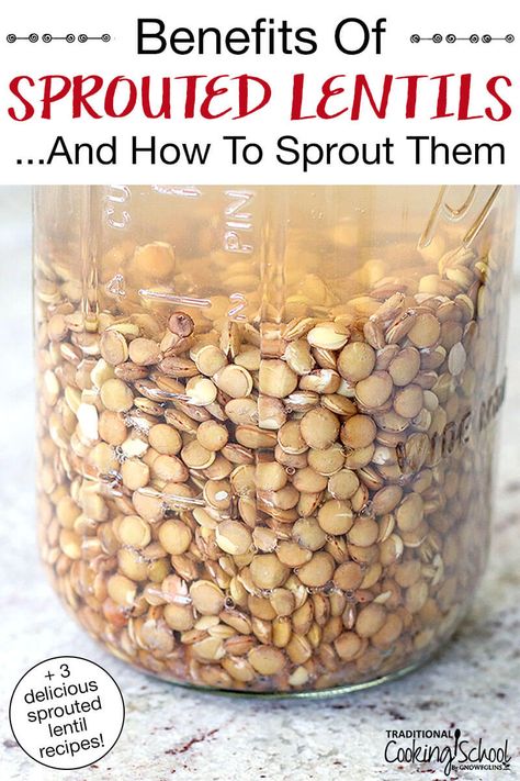 Sprouted lentils... a crunchy, flavorful, and nutritious way to dress up a variety of dishes, from salads to tacos to chili! I'll show you how to sprout lentils with easy step-by-step instructions, plus share 3 delicious recipes for sprouted lentils. First you sprout, then you cook. It's easy as pie! #sproutedlentils #sprouting #lentils #recipes Sprouting Lentils, Sprout Lentils, How To Sprout Lentils, Sprouted Lentils, Attainable Sustainable, Lentils Recipes, Autoimmune Recipes, Protein Vegetarian, Lentil Tacos