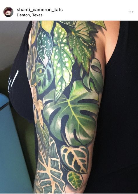 American Traditional Jungle Tattoo, Monstera Rib Cage Tattoo, Houseplant Sleeve Tattoo, Monsters Leaf Tattoo, Houseplant Tattoo Sleeve, Indoor Plant Tattoo, Tropical Tattoo Sleeve, Botanical Arm Tattoo, Tropical Plant Tattoo