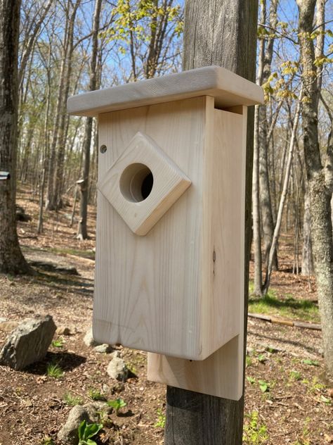 Bluebird House Plans, Blue Bird House, Bird House Plans Free, Homemade Bird Houses, Nest Boxes, Bird Houses Ideas, Bird Houses Ideas Diy, Birdhouses Rustic, Bluebird House