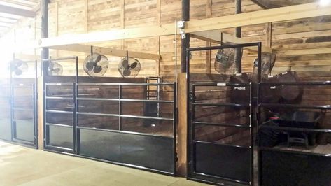 HerdPro custom gates for cattle show pens Cattle Pens, Cattle Wash Rack, Show Livestock, Cattle Show Box Ideas, Livestock Pen Decorations, Show Cattle Barn Layout, Livestock Pens, Barn Shed Ideas, Show Lamb Pens