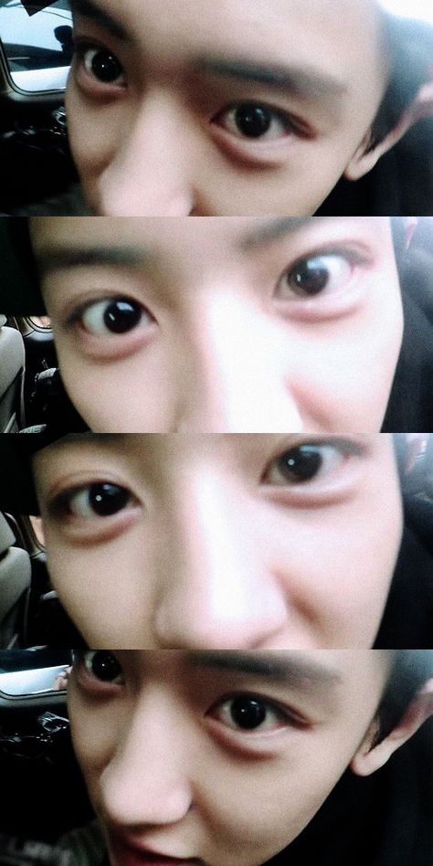 Exo Korean, Park Chanyeol Exo, Chanyeol And Do, Xiu Min, Exo Chanyeol, Exo Members, Puppy Eyes, Exo K, Park Chanyeol