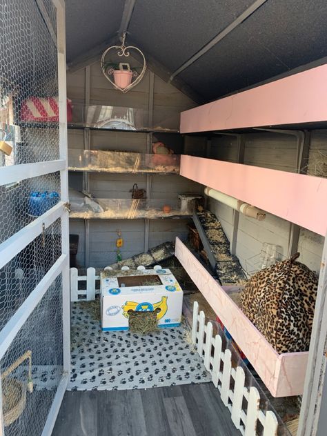 Clean out day for the Guinea Shed Guinea Pig Shed Ideas, Guinea Pig Outdoor Enclosure, Guinea Pig Cage Ideas Outdoor, Bunny Habitat, Bunny Sheds, Rabbit Things, Rabbit Shed, Diy Guinea Pig Cage, Rabbit Pen