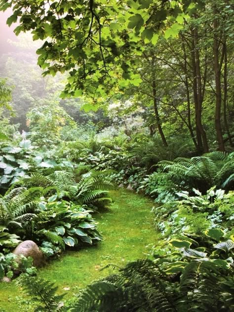 Backyard Woods Landscaping, Forest Garden Backyards, Forest Landscaping, House Garden Design, Garden Design Home, Hobbit Garden, Aesthetic Home Decor Ideas, Scandinavian Garden, Garden Forest