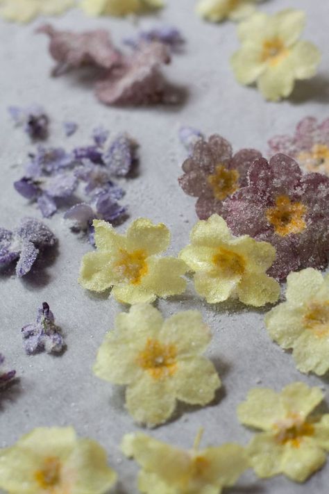 How to crystalise flowers, by Recipes Made Easy Edible Flowers Cake, Flower Desserts, Edible Flowers Recipes, Decorate A Cake, Vegan Wedding Cake, Cakes And Desserts, Dessert Photography, Candy Flowers, Edible Arrangements