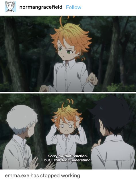 Tpn Ray, Exe Has Stopped Working, Anime Suggestions, Neverland Art, Promise Neverland, Promised Neverland, Anime Life, Anime Quotes, Funny Anime Pics