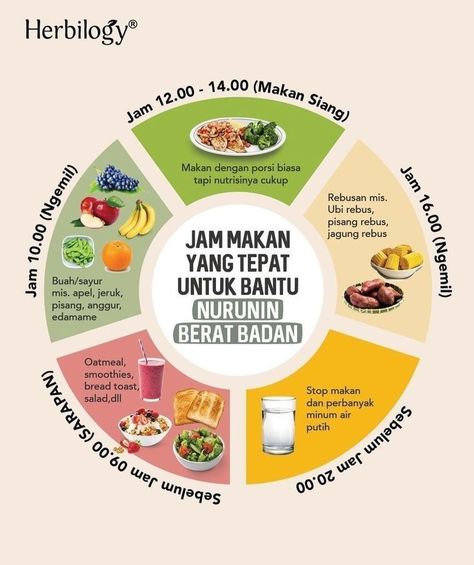 Jam Makan Untuk Diet, Defisit Kalori Plan, Jadwal Makan Diet, Menu Makanan Diet Sehat, Pola Makan Diet Sehat, Menu Diet Defisit Kalori Seminggu, Menu Sehat Harian, Tips Diet Sehat, Menu Makanan Diet