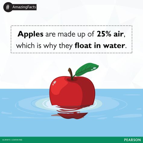 Isn’t it an amazing fact that apples are so lightweight that they float? The apple floats because the apple is less dense than water. When the apple is resting on water, it displaces an amount of water which weighs the same as the whole apple. Objects more dense than water sink because even when fully submerged they do not displace enough water to equal their weight. Apple Sink Or Float, Sink Or Float, Apple Activities, Top Girl, Kindergarten Science, Fall Apples, Top Girls, Floating In Water, Always Learning