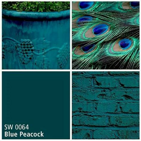 Blue Peacock Sherwin Williams, Peacock Paint Colors, Diningroom Ideas, Color Of The Month, Dream Beach Houses, Peacock Painting, Blue Peacock, Green Walls, Paper Ideas