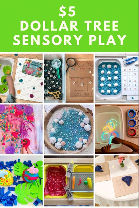 $5 Dollar Tree sensory play Dollar Tree Sensory, Easy Sensory Bin, Play Ideas For Kids, Fancy Items, Sensory Bin Ideas, Sensory Play Ideas, Toddler Sensory Bins, Bug Activities, Sensory Activities Toddlers