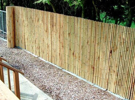 Tricks for installing a sturdy and beautiful bamboo fence Chain Link Fence Cover, Rolled Fencing, Bamboo Fencing, Landscaping Along Fence, Diy Privacy Fence, Backyard Privacy, Bamboo House, Privacy Fences, Bamboo Fence