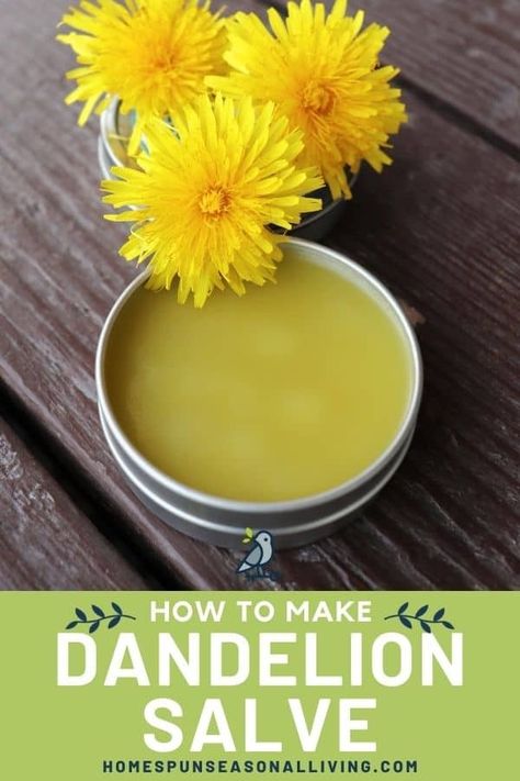 Find relief for dry skin and sore joints with this easy to make dandelion salve recipe. You'll need just 3 ingredients, a saucepan, and a container to get started. Get the full instructions on my blog. Dandelion Salve Recipes, Dandelion Salve, Dandelion Oil, Salve Recipes, Healing Salves, Salad Spinner, Dandelion Flower, Infused Oils, Canning Jars