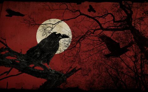 RaVen I by RadVisual.deviantart.com on @DeviantArt Crow Aesthetic, Moon, Red, Black