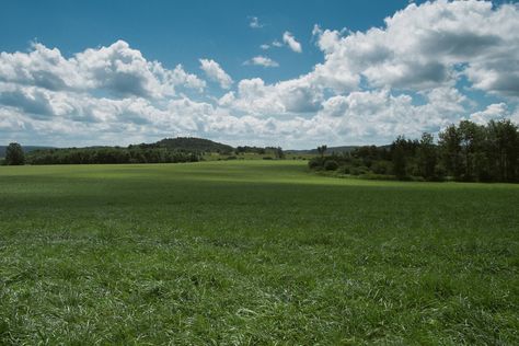 The Peaceful Plains of West Winfield NY [OC] [4896x3264] Plain Landscape, Plains Landscape, Earth Photo, Cute Places, Earth Photos, Eldritch Horror, Diorama Ideas, Great Plains, Nature Scenery