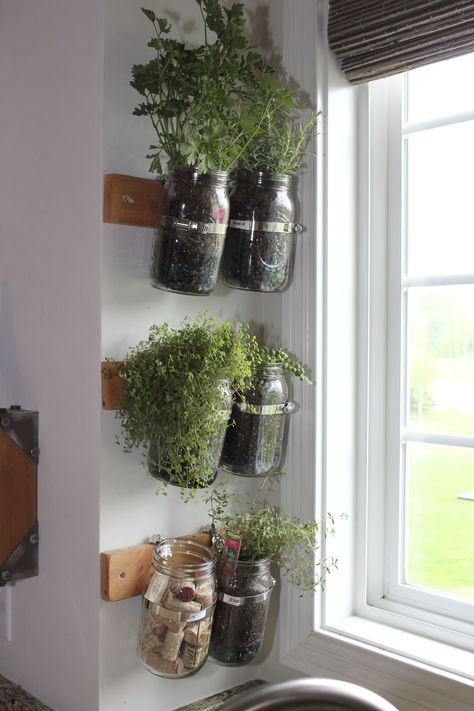 Indoor Herb Planters Kitchens, Spice Plants In Kitchen, Window Spice Garden, Window Herbs Indoor, Window Herb Shelf, Plants In Window Ideas Kitchen, Kitchen Window Hanging Decor, Planted In The Kitchen, Herb Shelf Kitchen Window